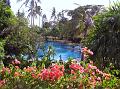 2007 07 19 BALI 0001